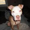 michellesweattbar - @michellesweattbar - TikTok