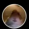 michelle - @michelle_swordy - TikTok