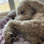 Michelle Sylvain Simard - @mmsimard - Instagram