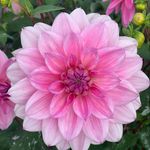 Michelle Symonds - @_michelle_71 - Instagram