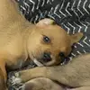 michelle - @michelle.tarango - TikTok