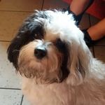 Michelle - @michelle_taubert - Instagram