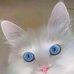 Michel Andreina Teran Ramos - Facebook
