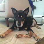 Michelle Templin - @mtdc16 - Instagram