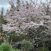 Michelle Tham - Facebook