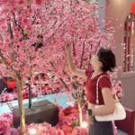 Michelle Tham - @michelle_tham0526 - Instagram