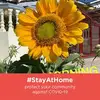 Michelle Tham - @ilbibtjfd8v83692 - TikTok