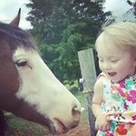 Michelle Thames Shook - @nannamichelle97 - Instagram