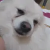 michelethendean - @michellethendean - TikTok