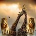 Michelle Thorpe - Facebook