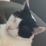 Michelle - @michellethorupsteffansen - Instagram