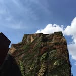 Michelle Thorup - @salczewicz - Instagram