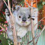 Michelle Tilley - @michelle.tilley.1272 - Instagram