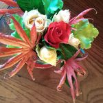 michelle tilly - @michoucachou29 - Instagram