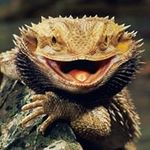 Michelle Timmer - @mktimmer - Instagram