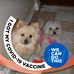 Michelle Moore-Timothy - Facebook