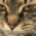 Michelle Tindle - Facebook
