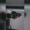 Michelle Tinoco - @michelle_tinoco23 - TikTok