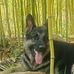 Michelle Tkach - Facebook