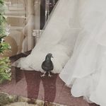 Michelle Tolley - @tolley.michelle - Instagram
