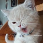 @michelle.topper15 - Instagram