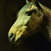Michelle Topper - Facebook