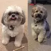 micheletorgersen - @micheletorgersen - TikTok