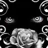 Michelle Towery - @michelletowery - TikTok