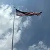 Michelle Towery - @michelle.towery - TikTok
