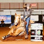 Michelle Trahan - @mtrahanperformancehorses - Instagram