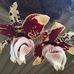 Michelle Treadwell - Facebook