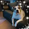 michelletrimble80 - @michelletrimble80 - TikTok