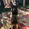 Michele Tyo606 - @mictyo - TikTok