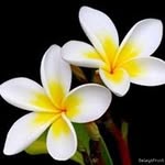 Michelle Usher - @michelle.usher.165 - Instagram