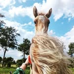 Michelle van der Wal - @farronlady - Instagram
