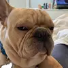 michellevarona6 - @michellevarona6 - TikTok