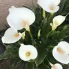 michelleverchere - @michelleverchere - TikTok