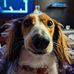Marie-Michelle Vermette - Facebook
