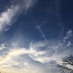 Michelle Wadsworth - @elaine.elvenwarrior - Instagram