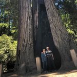 Michelle Waid - @michelletran927 - Instagram