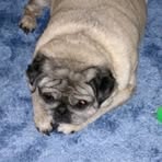 Michelle Waldeck - Facebook