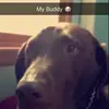 Michelle Waldeck  - @puppylover1510 - TikTok