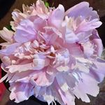 michelle walley - @mimidoinmimi223 - Instagram