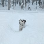 Michelle Goodspeed Walma - @walma3509 - Instagram
