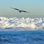 Michelle Ware - @life_is_a_beach_60 - Instagram