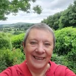 Michele  Wareham - @michele_wareham - Instagram