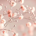 Michelle Warnick - Facebook