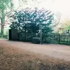 Michelle Wegner - @michellewegner7 - TikTok