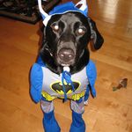 Michelle Wehner - @michellerw43 - Instagram