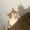 erinmichellewenzl - @erin.michelle.wen - TikTok